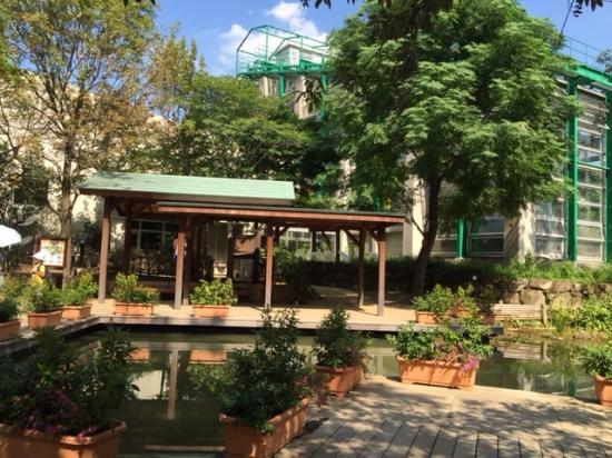 Adachi park for levende ting
